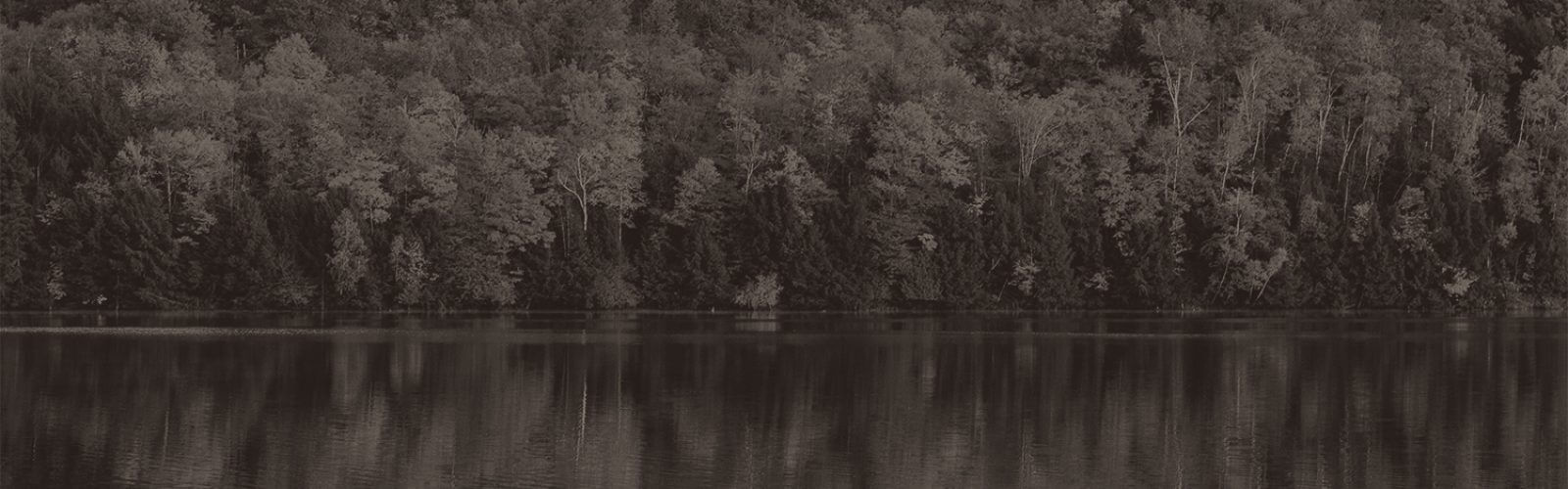 fall foliage over a lake